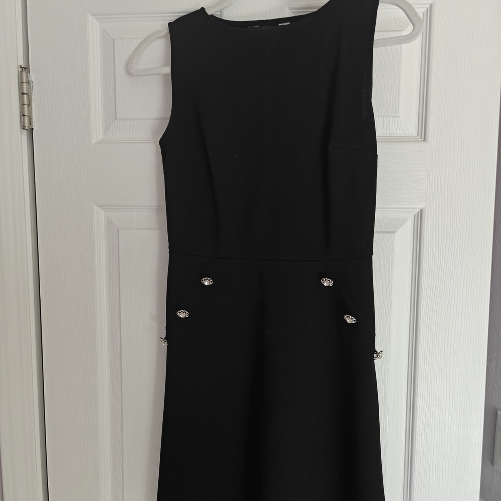 Elegant Black Sleeveless Dress